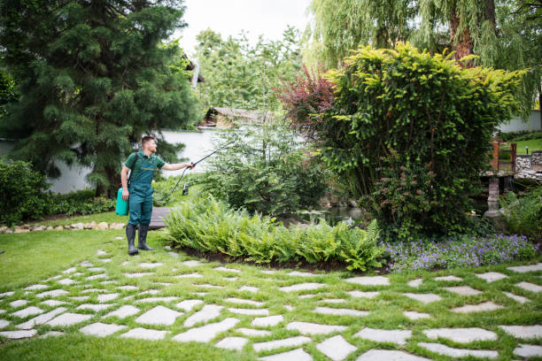 Best Affordable Pest Control Services  in Perry, GA