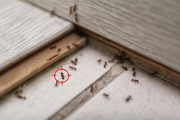 Best Wildlife Control Services  in Perry, GA