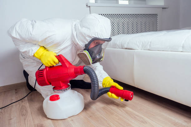 Flea Control Services in Perry, GA