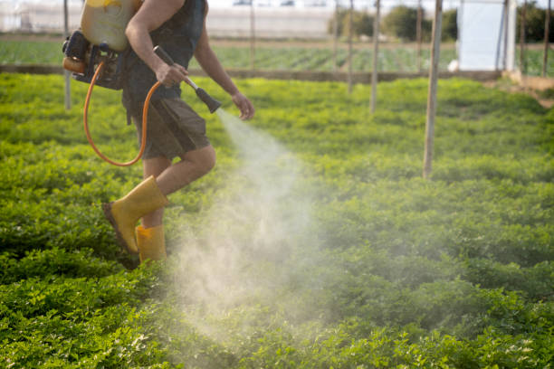 Pest Prevention Services in Perry, GA