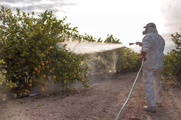 Best Exterminator Services  in Perry, GA