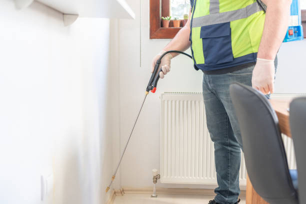 Best Affordable Pest Control Services  in Perry, GA