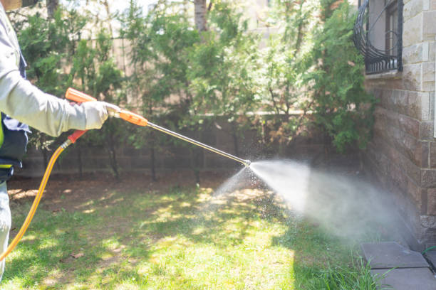 Best Pest Inspection Near Me  in Perry, GA