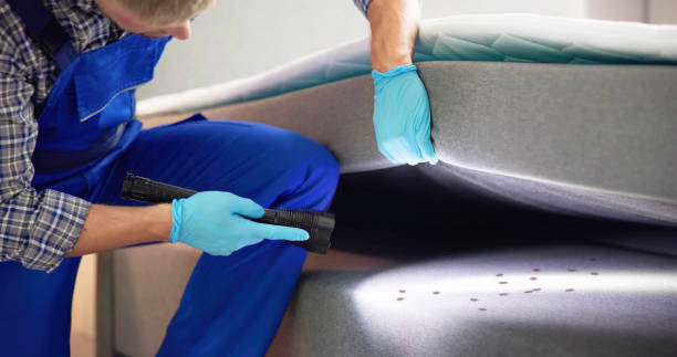 Best Emergency Pest Control  in Perry, GA