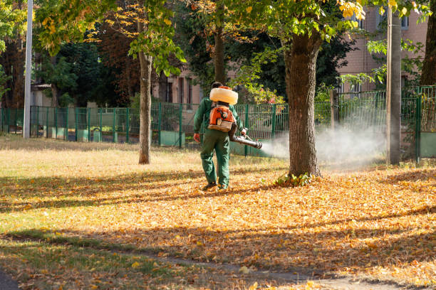 Best Wasp Removal Services  in Perry, GA