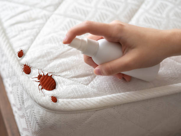 Best Cockroach Control Services  in Perry, GA