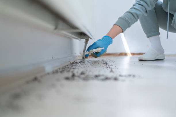 Best Best Pest Control Companies  in Perry, GA