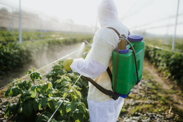 Professional Pest Control in Perry, GA